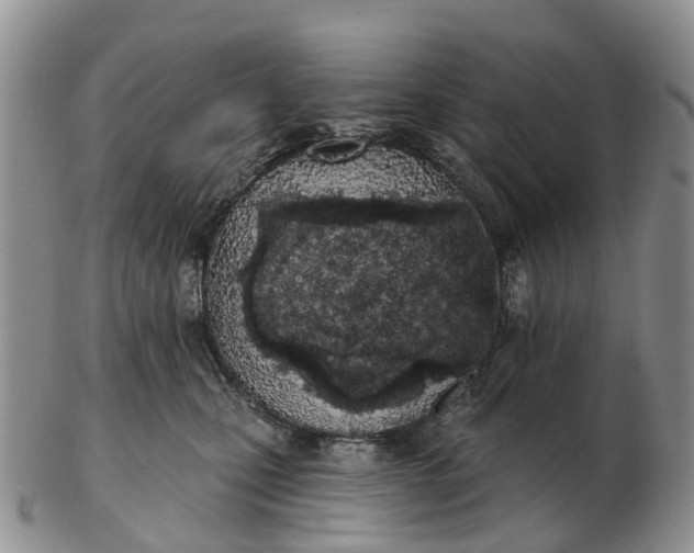 X0000103260471200809121927