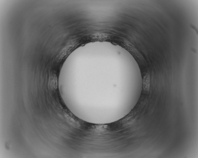 X0000103260474200809121927