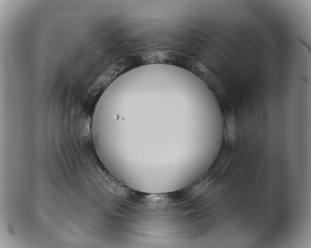 X0000103260477200809121927