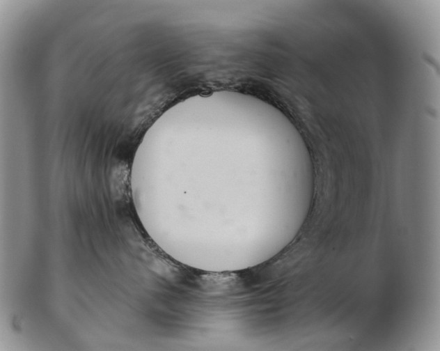 X0000103260480200809121927