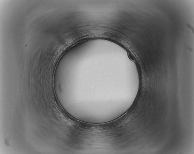 X0000103260481200809121926