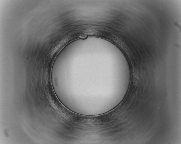 X0000103260482200809121926