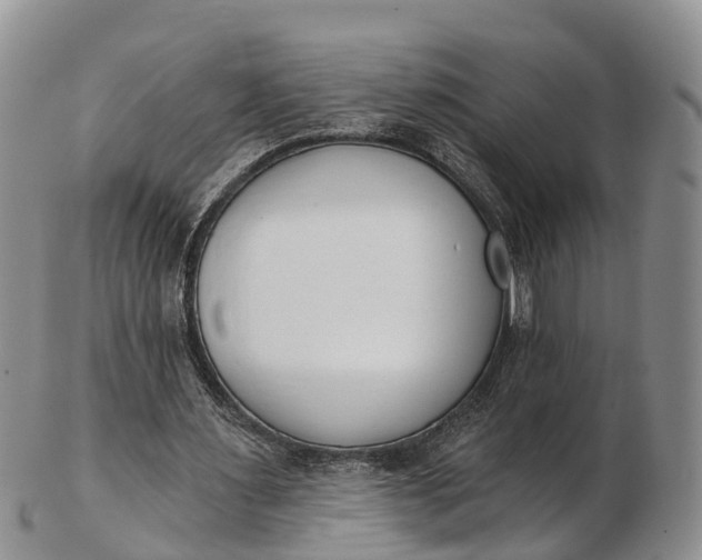 X0000103260483200809121926