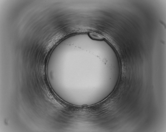 X0000103260485200809121926