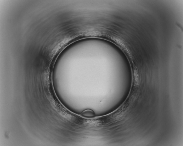 X0000103260487200809121926