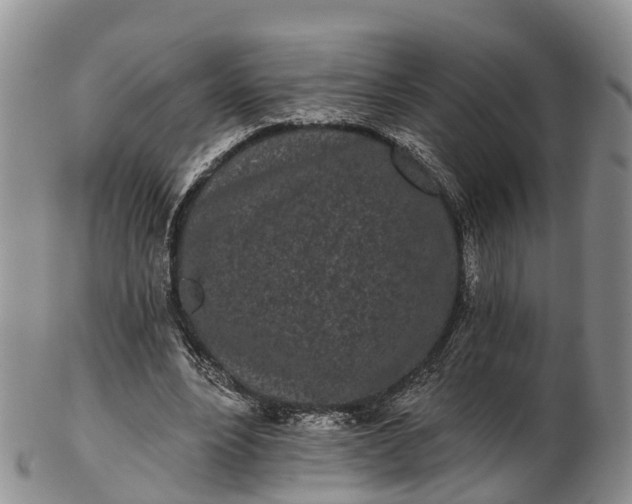 X0000103260488200809121926