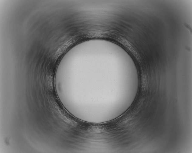 X0000103260489200809121926