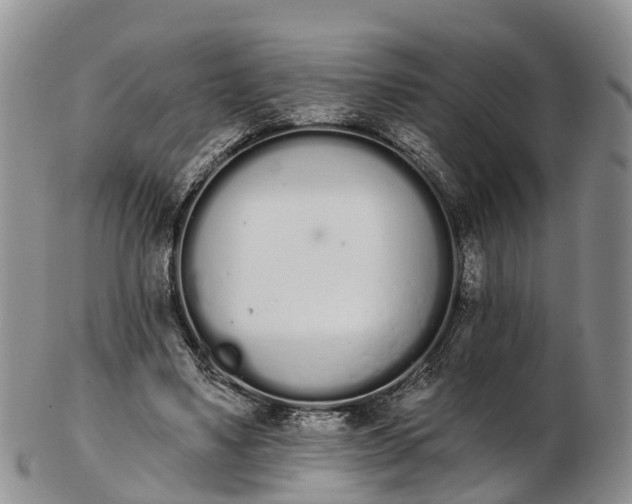 X0000103260491200809121926