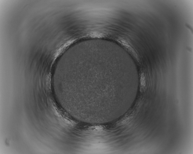 X0000103260492200809121926