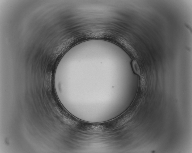 X0000103260493200809121926