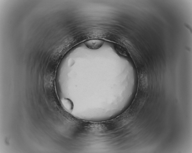 X0000103260499200809121926