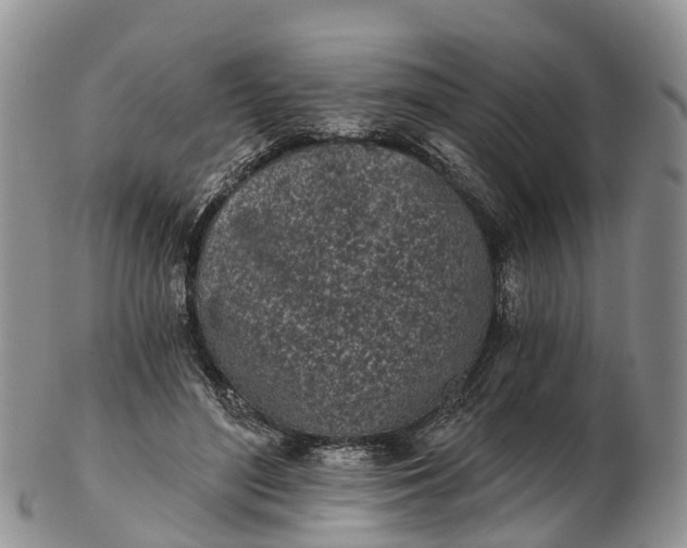 X0000103260500200809121926