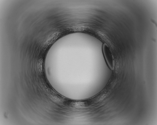 X0000103260501200809121926