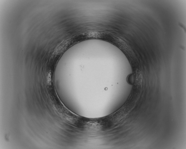 X0000103260502200809121926