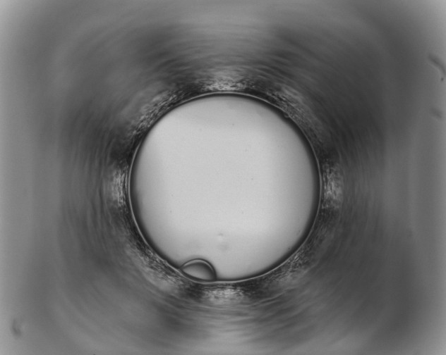 X0000103260503200809121926