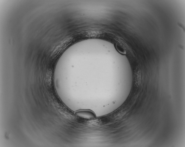 X0000103260505200809121926