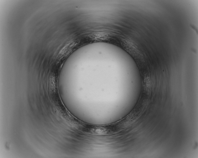 X0000103260506200809121926