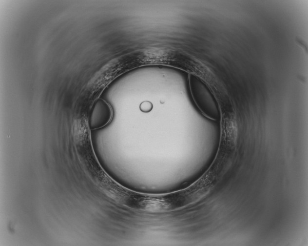 X0000103260507200809121926