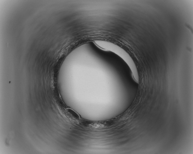 X0000103260512200809121926