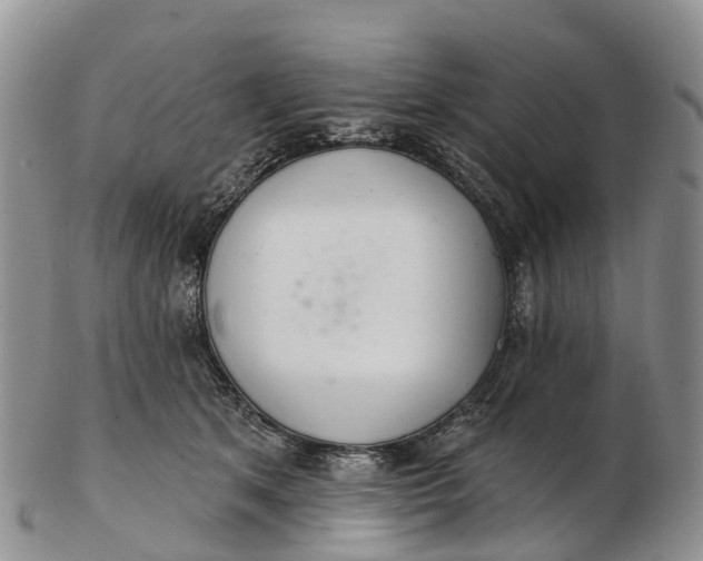 X0000103260513200809121926