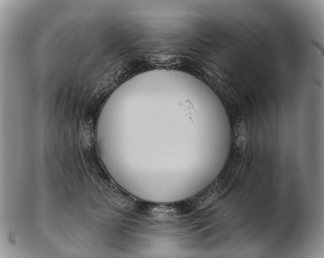 X0000103260515200809121926