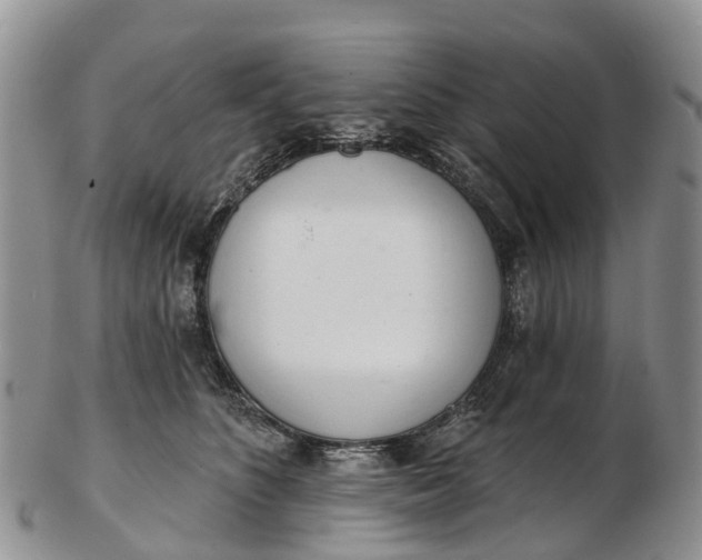 X0000103260516200809121926