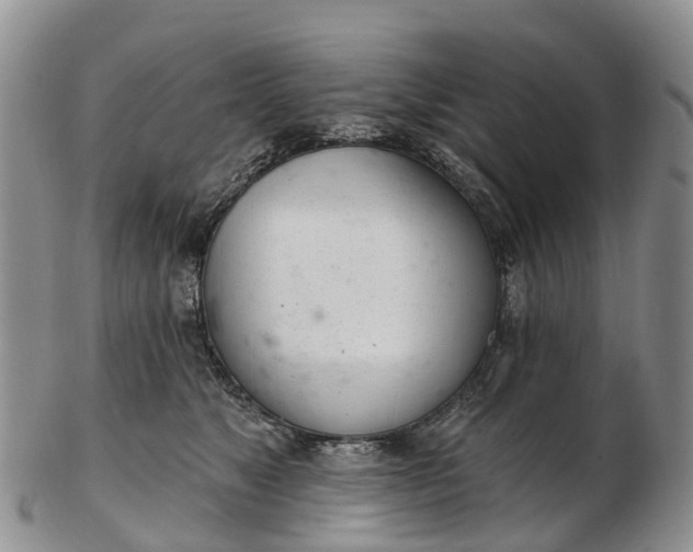 X0000103260517200809121926