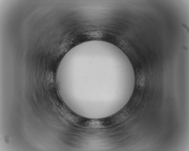 X0000103260518200809121926