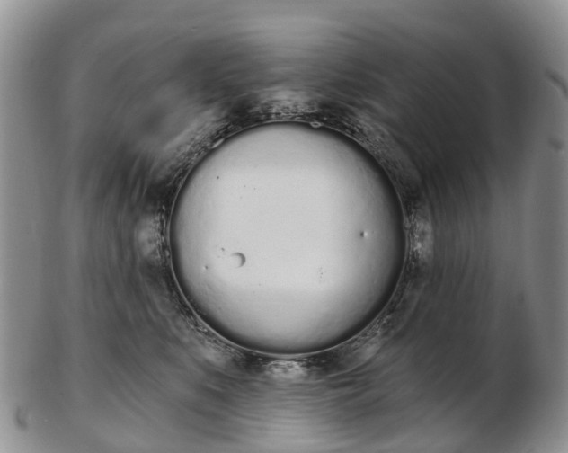 X0000103260519200809121926