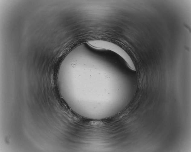 X0000103260520200809121926