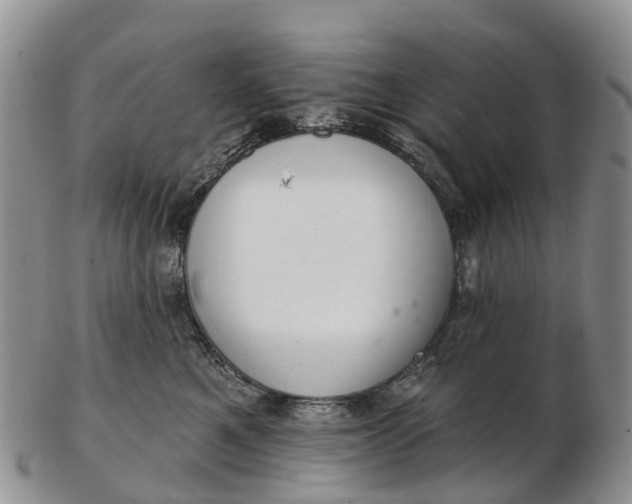 X0000103260521200809121926