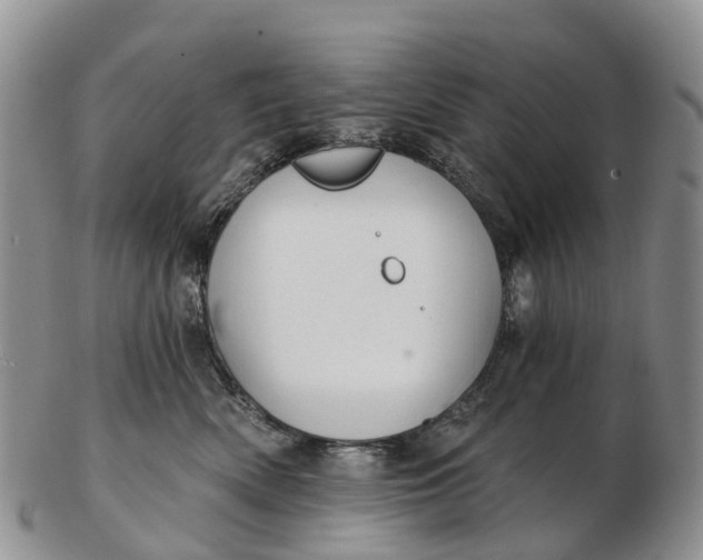 X0000103260522200809121926