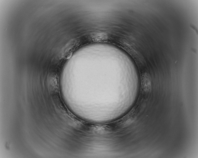 X0000103260523200809121926