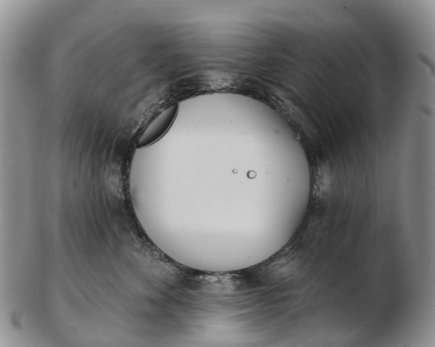 X0000103260524200809121926