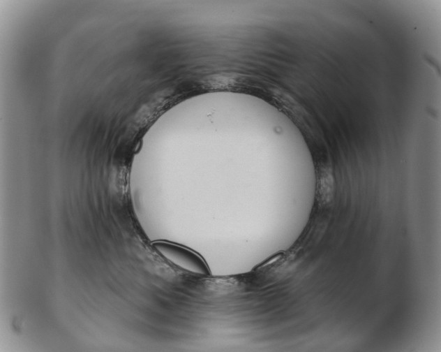 X0000103260525200809121926