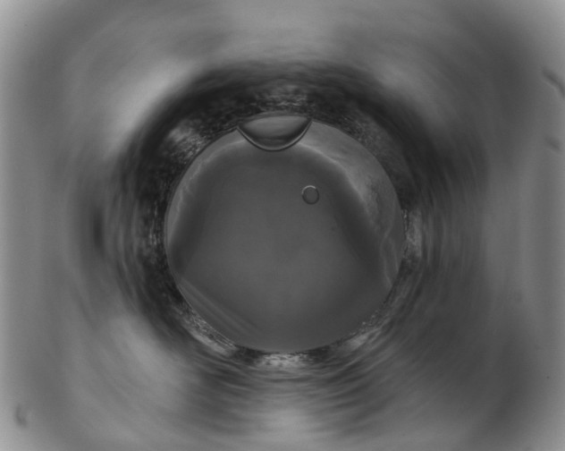 X0000103260526200809121926