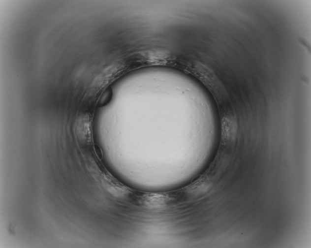 X0000103260527200809121926