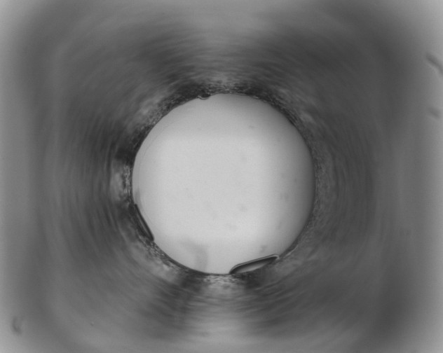 X0000103260528200809121926