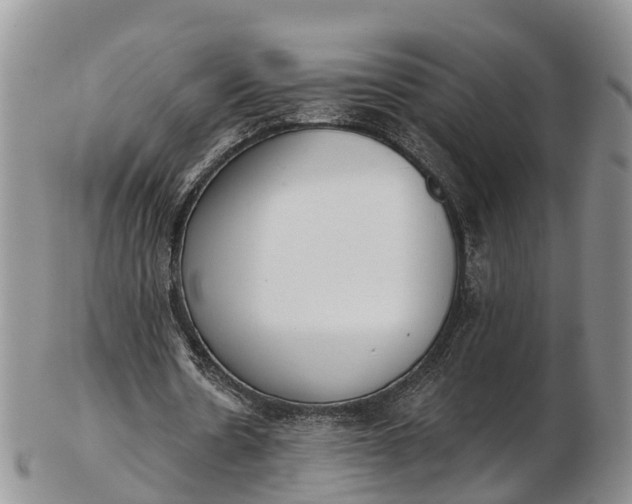 X0000103260530200809121925