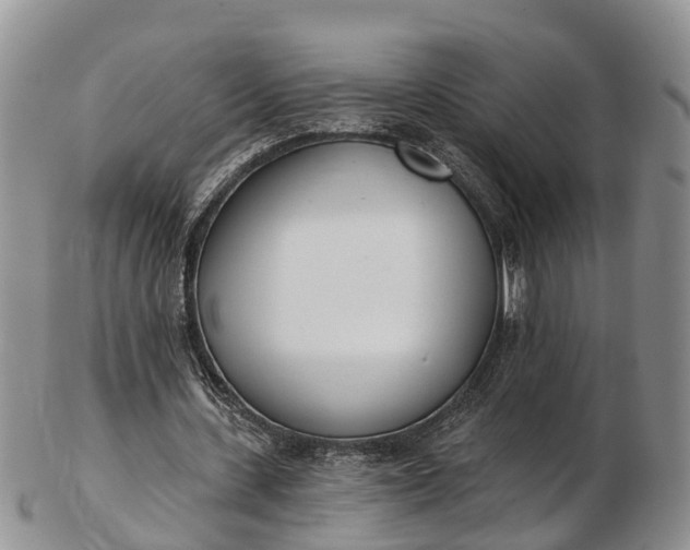 X0000103260531200809121925