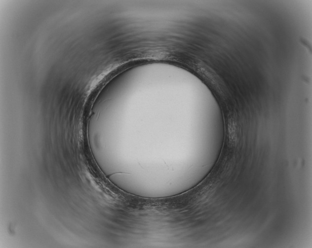 X0000103260532200809121925