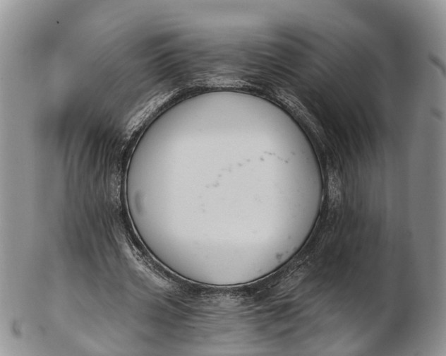 X0000103260533200809121925