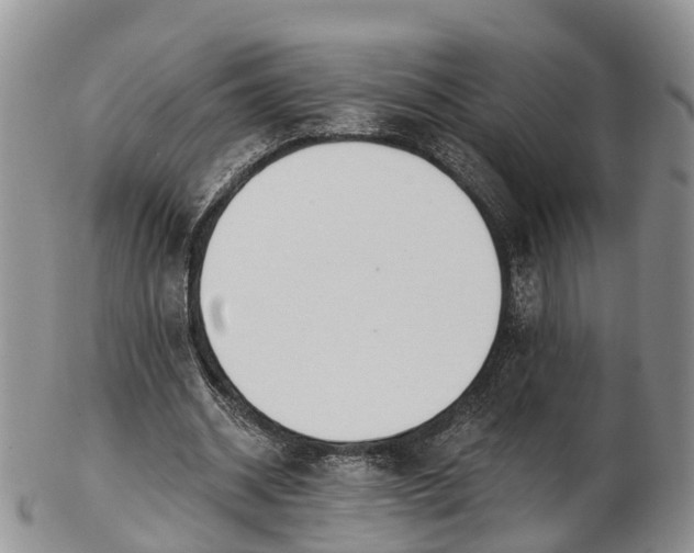 X0000103260534200809121925