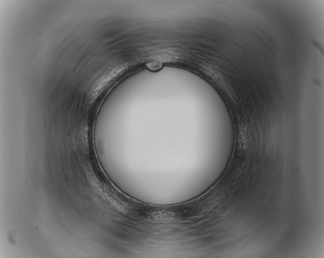 X0000103260535200809121925