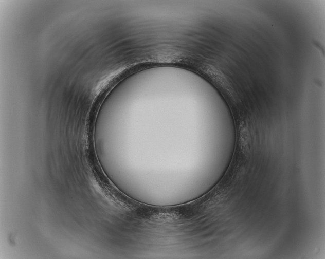 X0000103260536200809121925