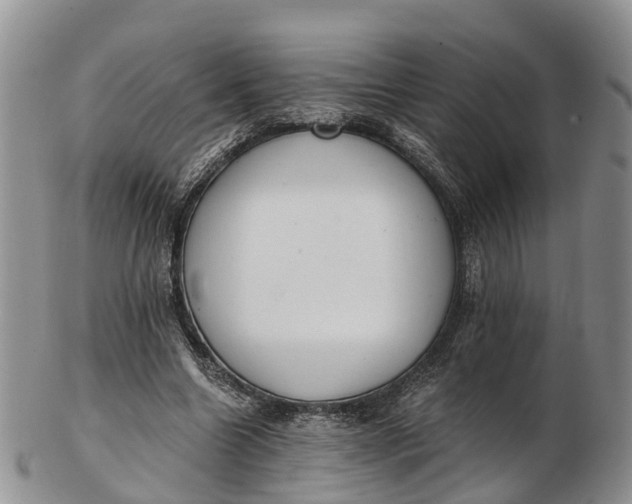 X0000103260538200809121925