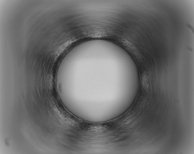 X0000103260540200809121925