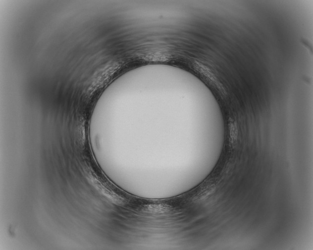 X0000103260541200809121925