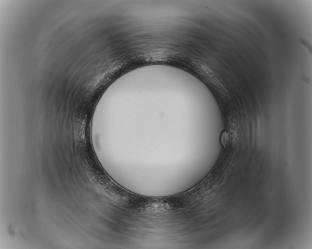 X0000103260543200809121925