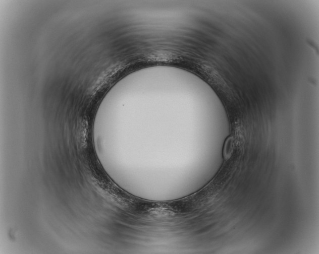 X0000103260544200809121925